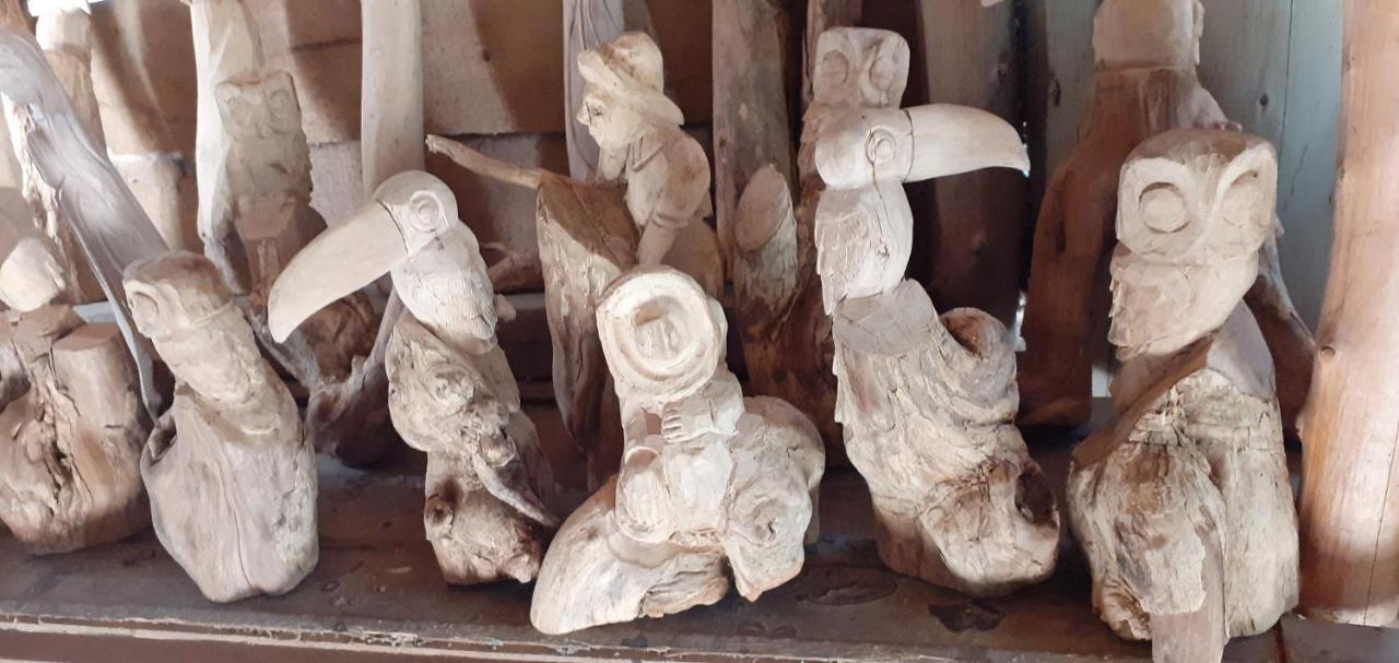 Montana Linda Hostel Orosí المظهر الخارجي الصورة